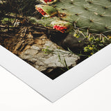 Rustic Wall Art - Prickly Pear Cactus with Red Fruit, Farmhouse Decor