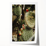 Rustic Wall Art - Prickly Pear Cactus with Red Fruit, Farmhouse Decor