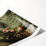 Rustic Wall Art - Prickly Pear Cactus with Red Fruit, Farmhouse Decor