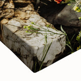 Rustic Wall Art - Prickly Pear Cactus with Red Fruit, Farmhouse Decor