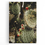 Rustic Wall Art - Prickly Pear Cactus with Red Fruit, Farmhouse Decor