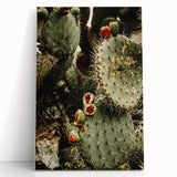 Rustic Wall Art - Prickly Pear Cactus with Red Fruit, Farmhouse Decor