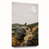 Rustic Wall Art - Bird on Rocks in Desert Landscape, Farmhouse Decor