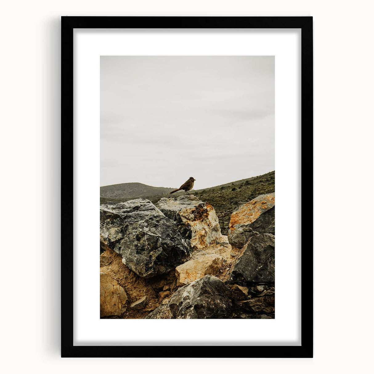 Rustic Wall Art - Bird on Rocks in Desert Landscape, Farmhouse Decor