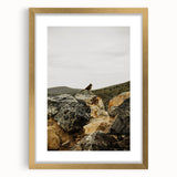 Rustic Wall Art - Bird on Rocks in Desert Landscape, Farmhouse Decor