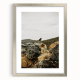 Rustic Wall Art - Bird on Rocks in Desert Landscape, Farmhouse Decor