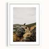 Rustic Wall Art - Bird on Rocks in Desert Landscape, Farmhouse Decor