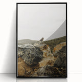 Rustic Wall Art - Bird on Rocks in Desert Landscape, Farmhouse Decor