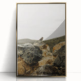 Rustic Wall Art - Bird on Rocks in Desert Landscape, Farmhouse Decor
