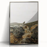 Rustic Wall Art - Bird on Rocks in Desert Landscape, Farmhouse Decor