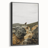 Rustic Wall Art - Bird on Rocks in Desert Landscape, Farmhouse Decor