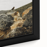 Rustic Wall Art - Bird on Rocks in Desert Landscape, Farmhouse Decor