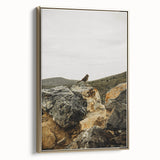 Rustic Wall Art - Bird on Rocks in Desert Landscape, Farmhouse Decor