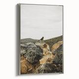 Rustic Wall Art - Bird on Rocks in Desert Landscape, Farmhouse Decor