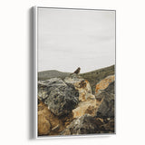 Rustic Wall Art - Bird on Rocks in Desert Landscape, Farmhouse Decor