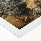 Rustic Wall Art - Bird on Rocks in Desert Landscape, Farmhouse Decor