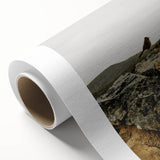 Rustic Wall Art - Bird on Rocks in Desert Landscape, Farmhouse Decor