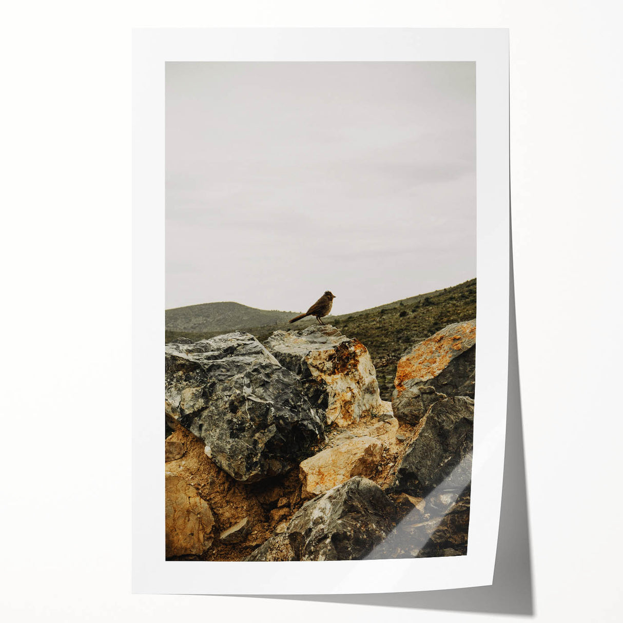Rustic Wall Art - Bird on Rocks in Desert Landscape, Farmhouse Decor