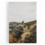 Rustic Wall Art - Bird on Rocks in Desert Landscape, Farmhouse Decor