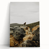 Rustic Wall Art - Bird on Rocks in Desert Landscape, Farmhouse Decor