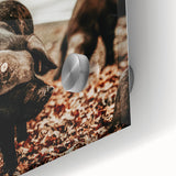 Rustic Wall Art - Black Pig in Autumn Forest, Farmhouse Decor Print