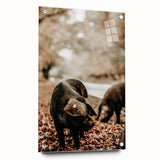 Rustic Wall Art - Black Pig in Autumn Forest, Farmhouse Decor Print