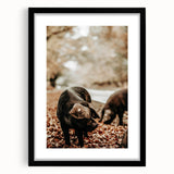 Rustic Wall Art - Black Pig in Autumn Forest, Farmhouse Decor Print