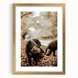 Rustic Wall Art - Black Pig in Autumn Forest, Farmhouse Decor Print