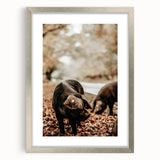 Rustic Wall Art - Black Pig in Autumn Forest, Farmhouse Decor Print