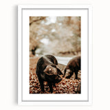 Rustic Wall Art - Black Pig in Autumn Forest, Farmhouse Decor Print