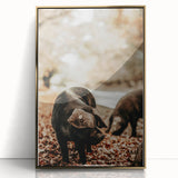 Rustic Wall Art - Black Pig in Autumn Forest, Farmhouse Decor Print
