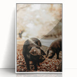 Rustic Wall Art - Black Pig in Autumn Forest, Farmhouse Decor Print