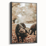 Rustic Wall Art - Black Pig in Autumn Forest, Farmhouse Decor Print