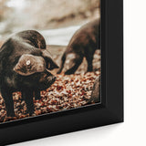 Rustic Wall Art - Black Pig in Autumn Forest, Farmhouse Decor Print