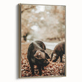 Rustic Wall Art - Black Pig in Autumn Forest, Farmhouse Decor Print