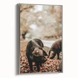 Rustic Wall Art - Black Pig in Autumn Forest, Farmhouse Decor Print