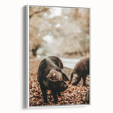 Rustic Wall Art - Black Pig in Autumn Forest, Farmhouse Decor Print