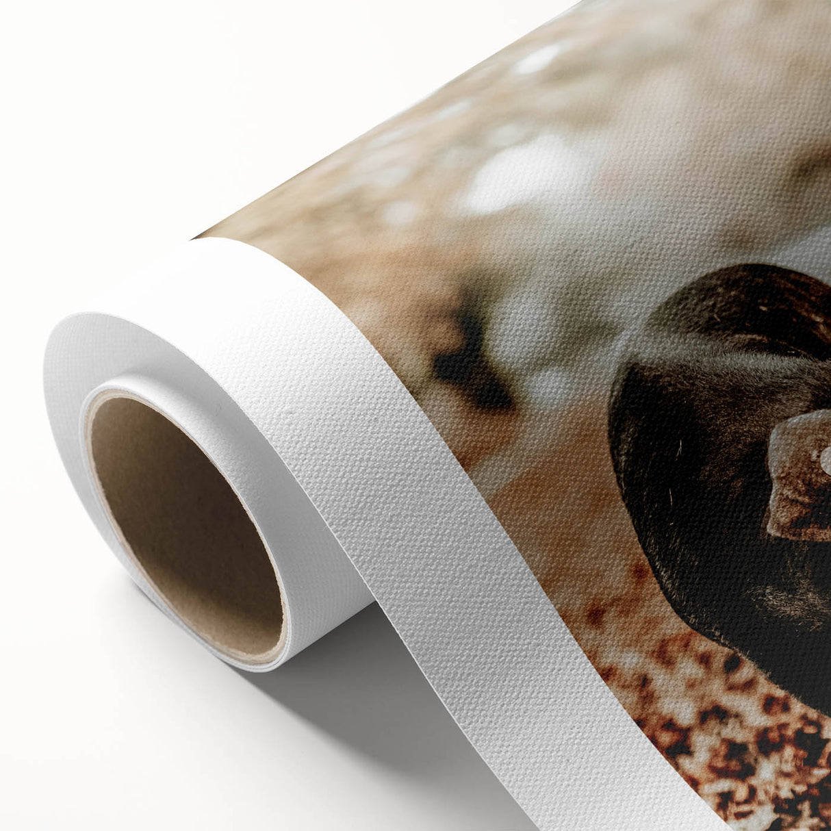 Rustic Wall Art - Black Pig in Autumn Forest, Farmhouse Decor Print