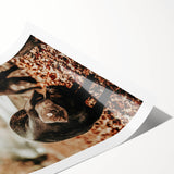 Rustic Wall Art - Black Pig in Autumn Forest, Farmhouse Decor Print