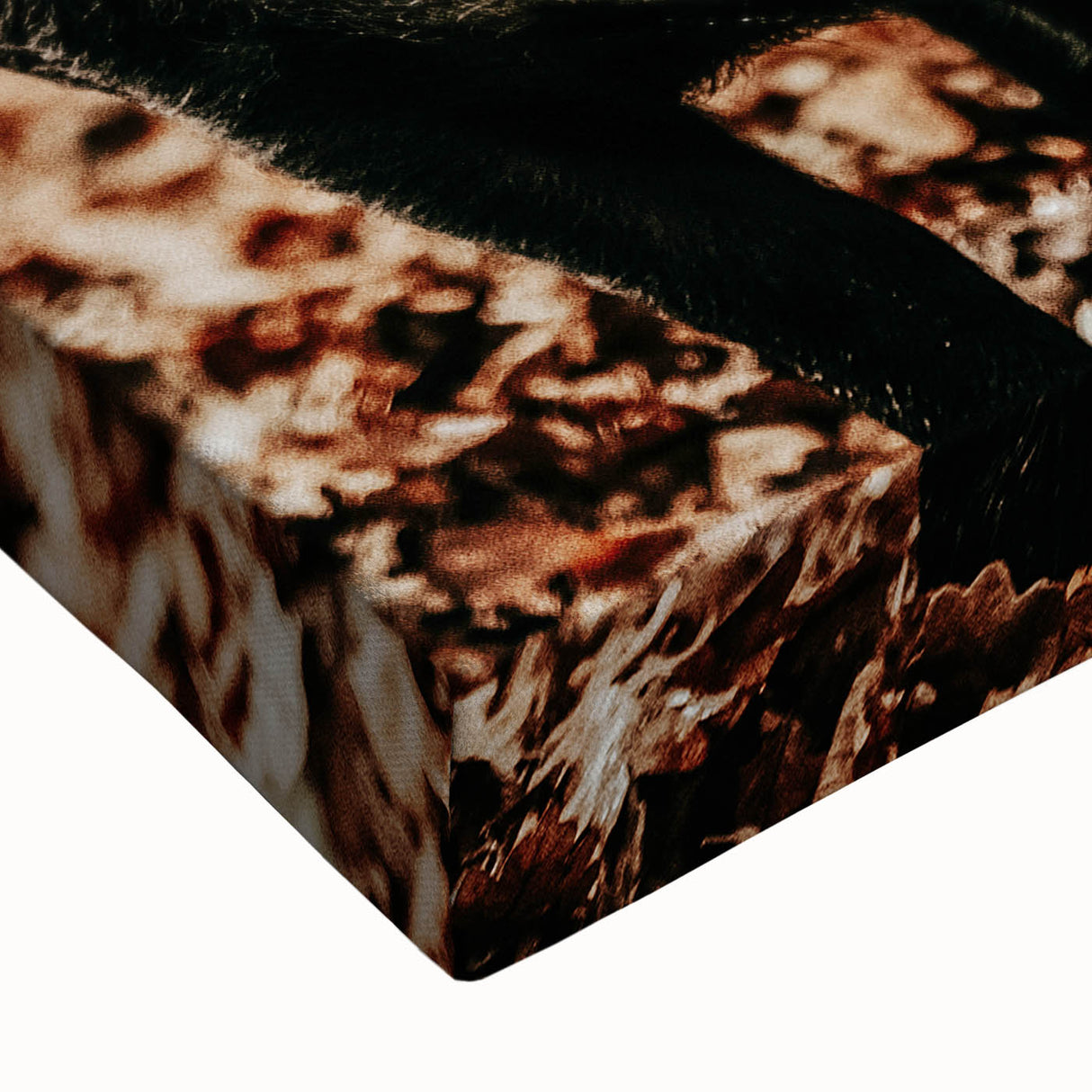 Rustic Wall Art - Black Pig in Autumn Forest, Farmhouse Decor Print
