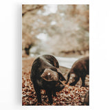 Rustic Wall Art - Black Pig in Autumn Forest, Farmhouse Decor Print