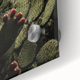 Rustic Wall Art - Prickly Pear Cactus with Red Fruit, Farmhouse Decor Print