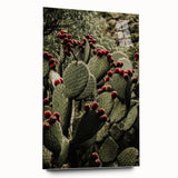 Rustic Wall Art - Prickly Pear Cactus with Red Fruit, Farmhouse Decor Print
