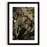 Rustic Wall Art - Prickly Pear Cactus with Red Fruit, Farmhouse Decor Print