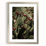 Rustic Wall Art - Prickly Pear Cactus with Red Fruit, Farmhouse Decor Print