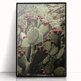 Rustic Wall Art - Prickly Pear Cactus with Red Fruit, Farmhouse Decor Print