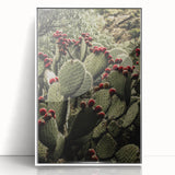 Rustic Wall Art - Prickly Pear Cactus with Red Fruit, Farmhouse Decor Print