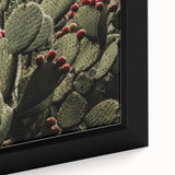 Rustic Wall Art - Prickly Pear Cactus with Red Fruit, Farmhouse Decor Print