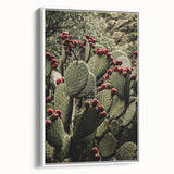 Rustic Wall Art - Prickly Pear Cactus with Red Fruit, Farmhouse Decor Print