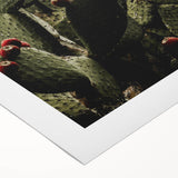 Rustic Wall Art - Prickly Pear Cactus with Red Fruit, Farmhouse Decor Print